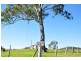 Barrington NSW 2422