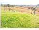 Barrington NSW 2422