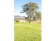 Barrington NSW 2422
