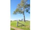 Barrington NSW 2422