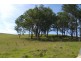 Waukivory NSW 2422