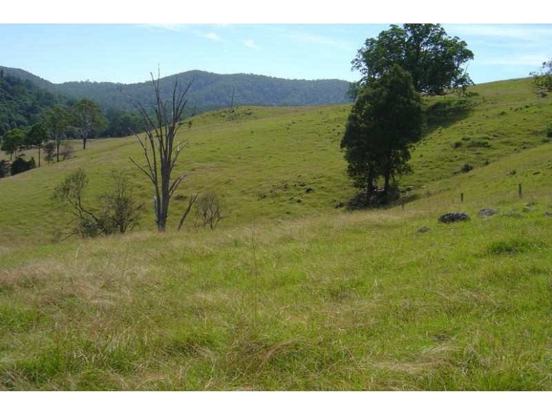 Waukivory NSW 2422