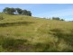Waukivory NSW 2422