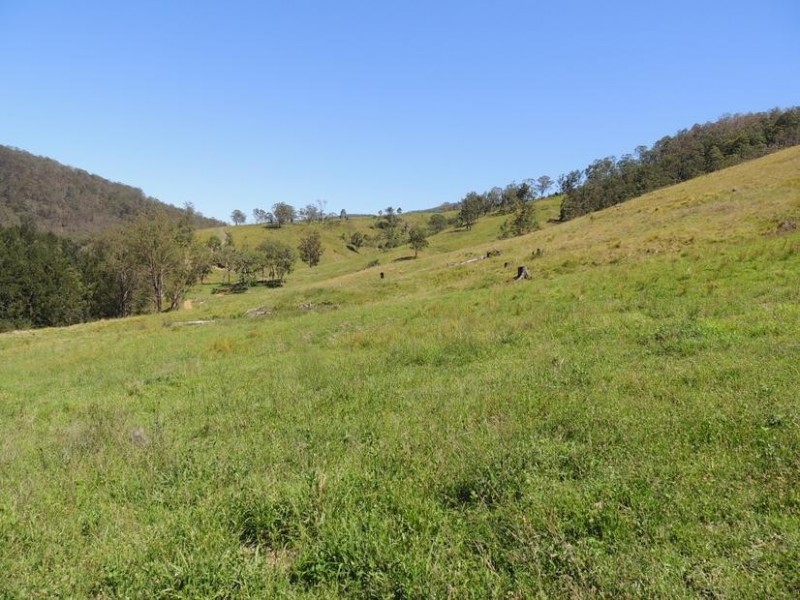 Bindera NSW 2422