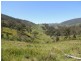 Bindera NSW 2422