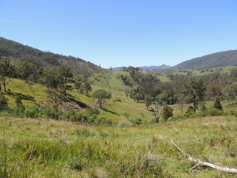 Bindera NSW 2422