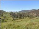 Bindera NSW 2422