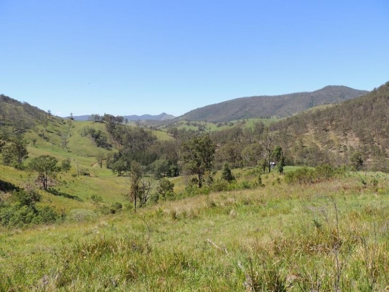 Bindera NSW 2422