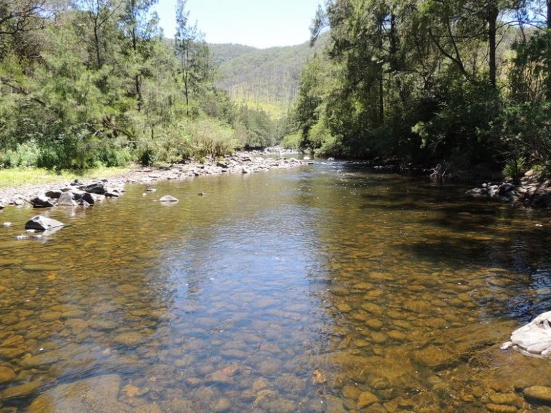 Bindera NSW 2422