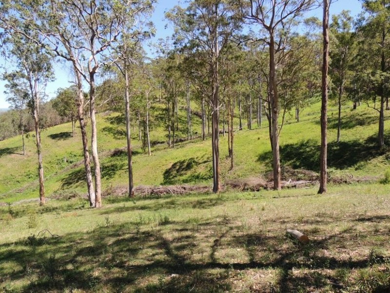 Bindera NSW 2422