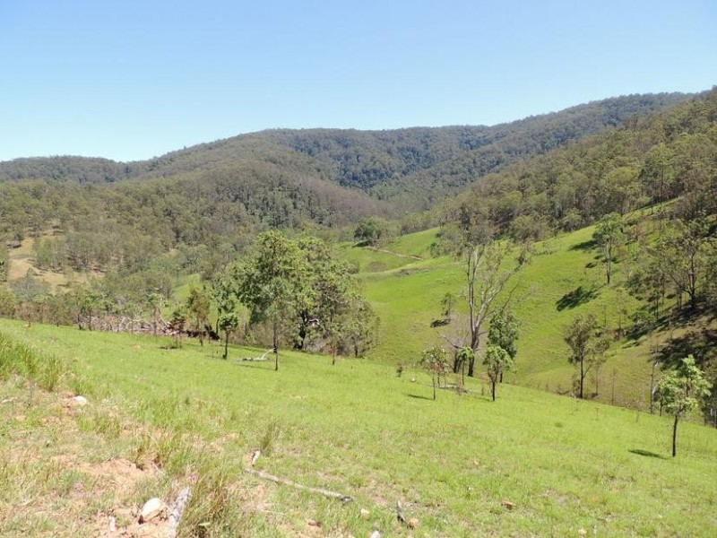 Bindera NSW 2422