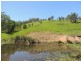 Bindera NSW 2422