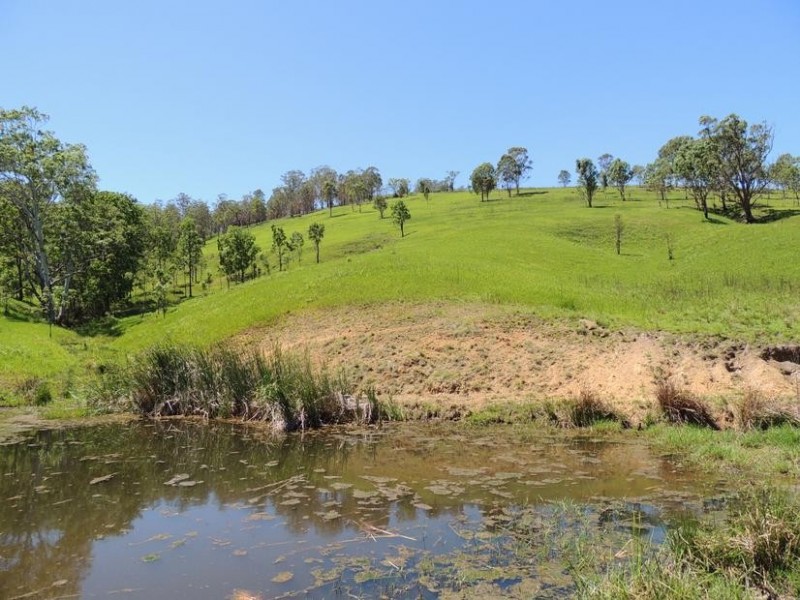 Bindera NSW 2422