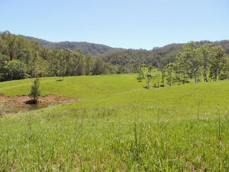 Bindera NSW 2422