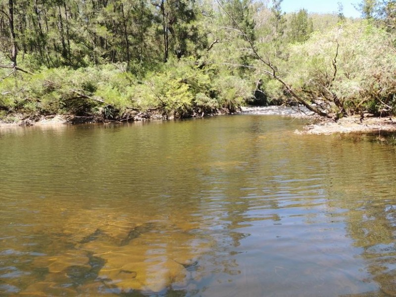 Bindera NSW 2422