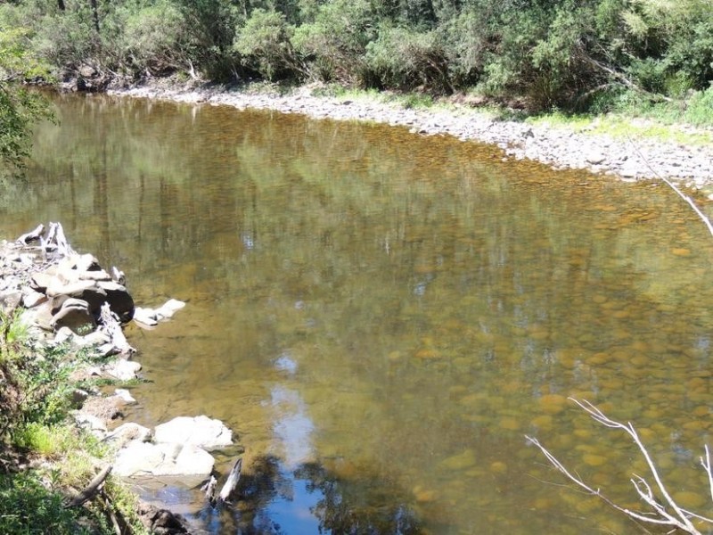 Bindera NSW 2422