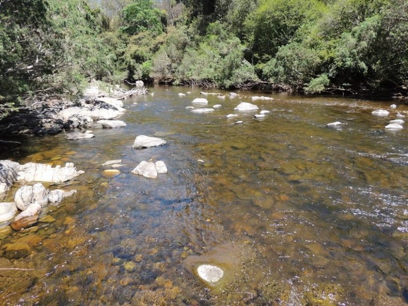 Bindera NSW 2422