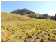 Gloucester NSW 2422