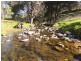Berrico NSW 2422