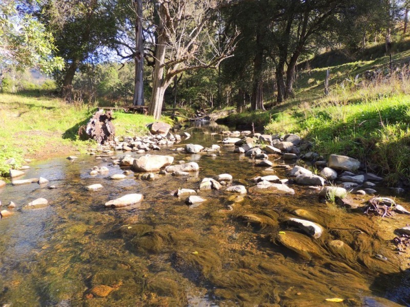 Berrico NSW 2422