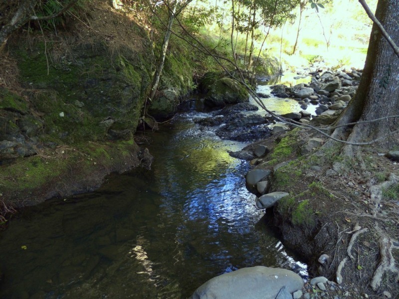 Berrico NSW 2422