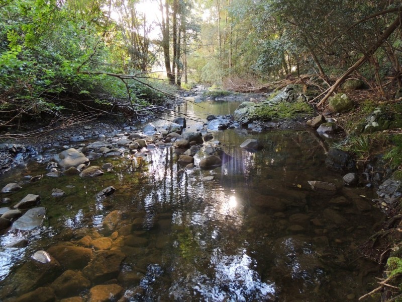 Berrico NSW 2422