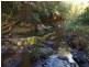 Berrico NSW 2422