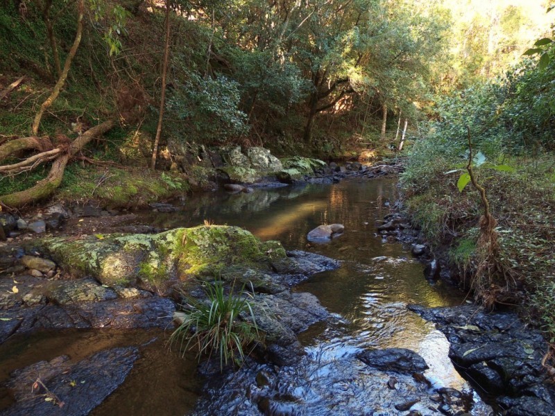 Berrico NSW 2422
