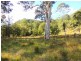 Berrico NSW 2422