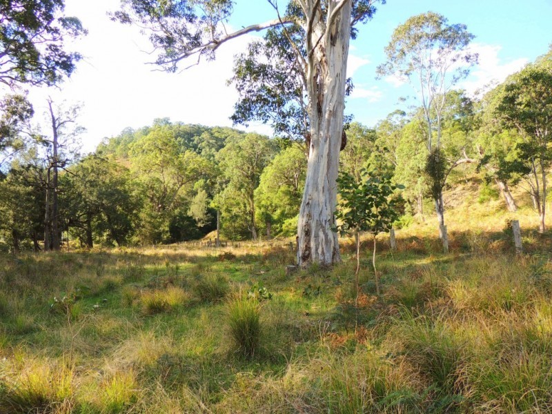 Berrico NSW 2422