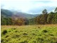 Berrico NSW 2422