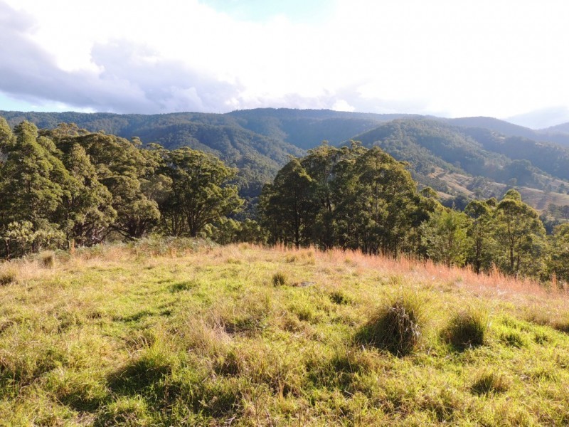 Berrico NSW 2422