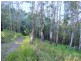 Berrico NSW 2422