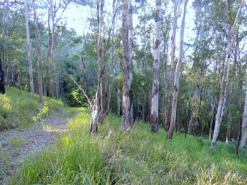 Berrico NSW 2422