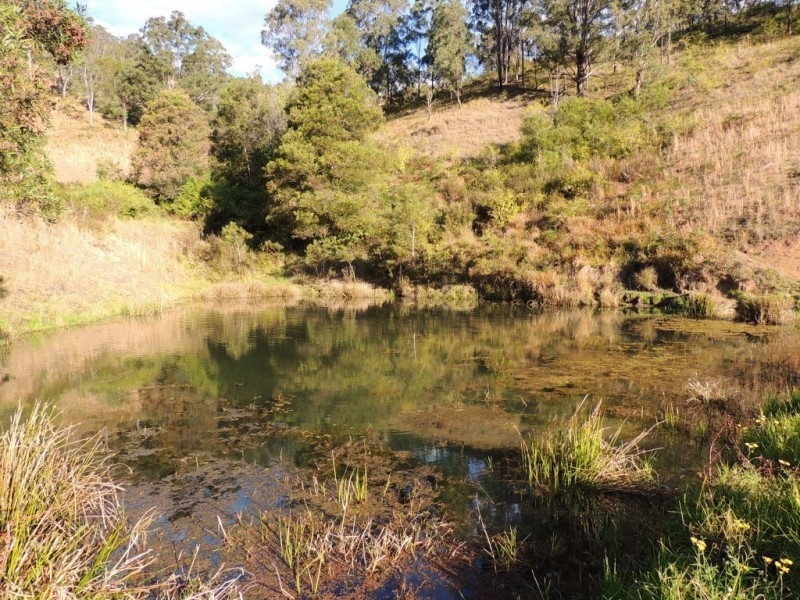 Berrico NSW 2422