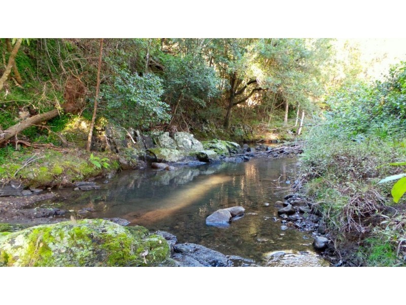 Berrico NSW 2422
