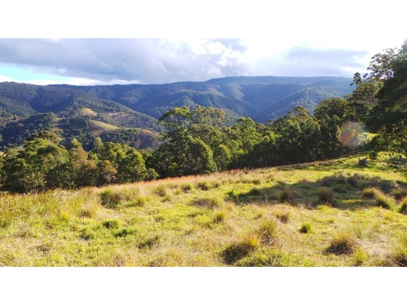 Berrico NSW 2422