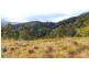 Berrico NSW 2422