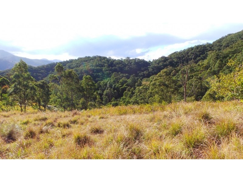 Berrico NSW 2422