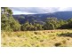 Berrico NSW 2422