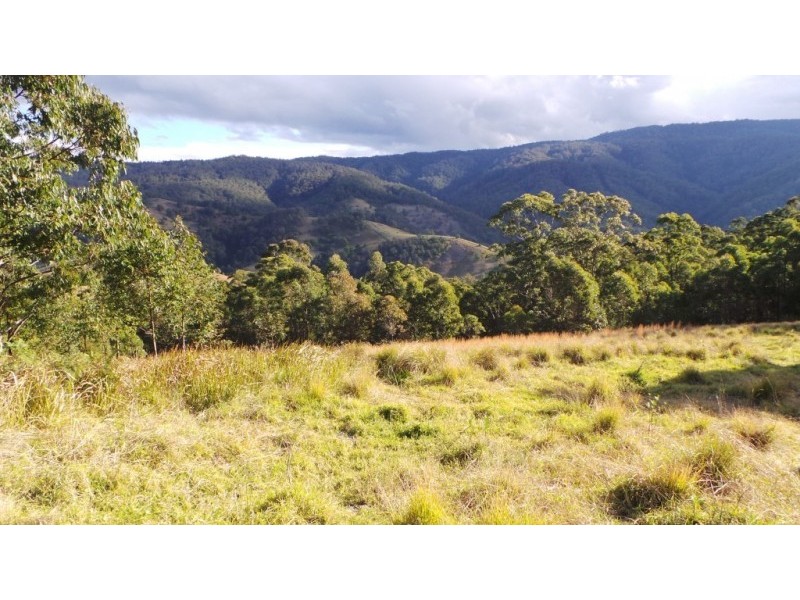 Berrico NSW 2422