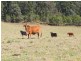 Gloucester NSW 2422