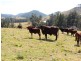 Gloucester NSW 2422