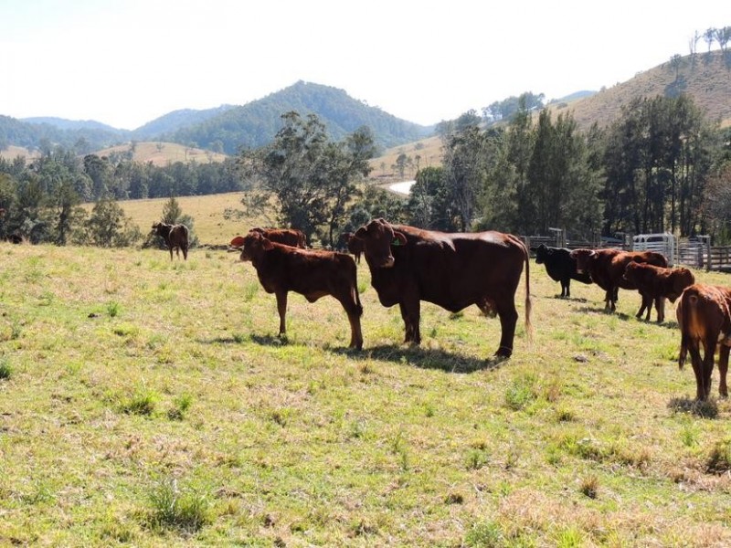Gloucester NSW 2422