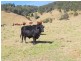Gloucester NSW 2422