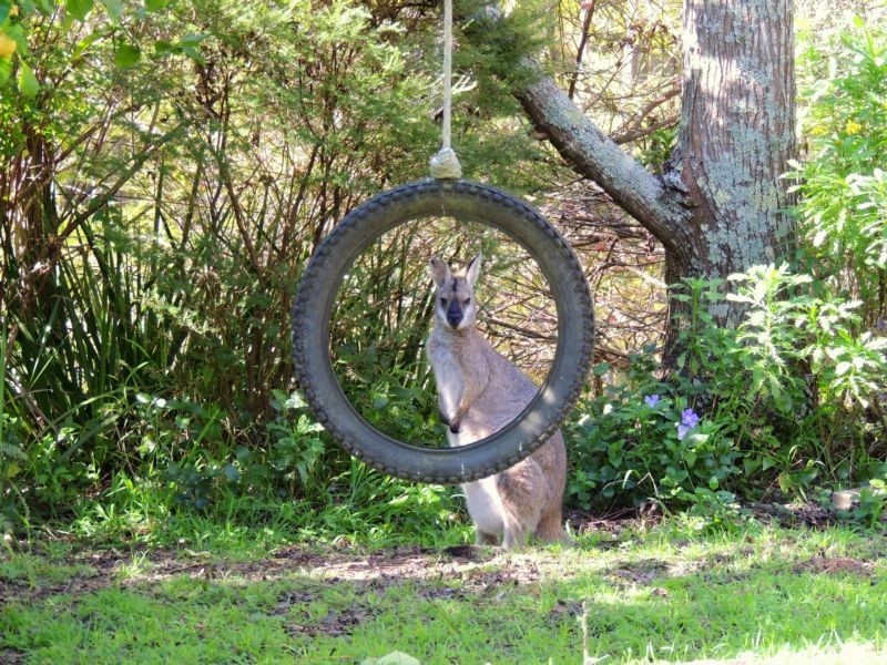Gloucester NSW 2422