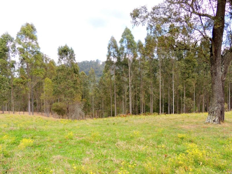 Gloucester NSW 2422