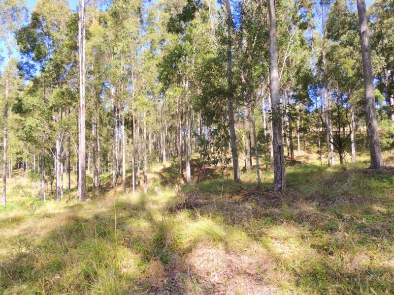 Gloucester NSW 2422