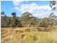 Wingham NSW 2429