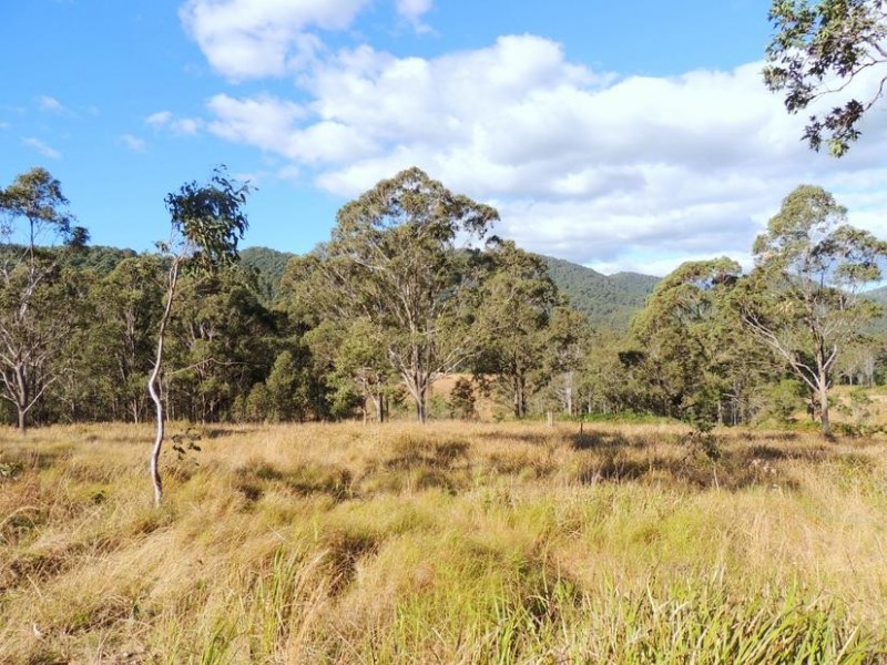 Wingham NSW 2429